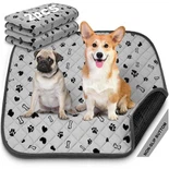 Kucēnu apmācības mājdzīvnieku paliktņi